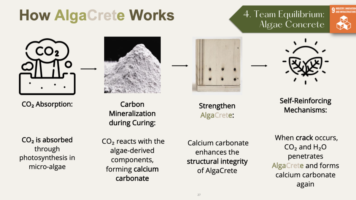 The "AlgaCrete" solution