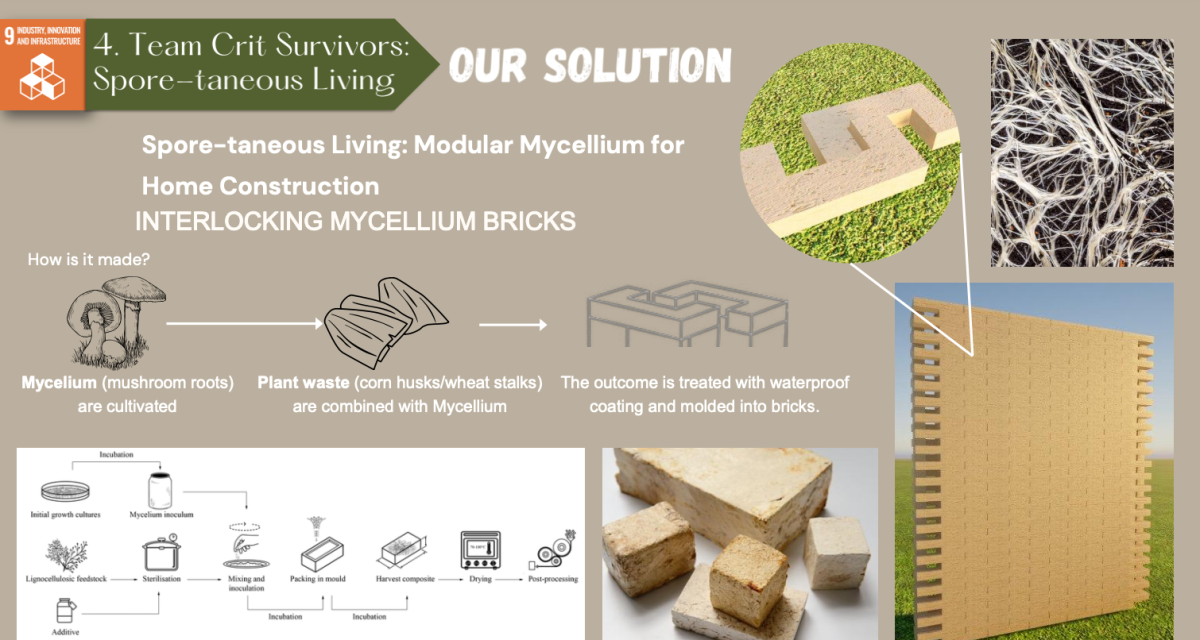The "interlocking mycellium bricks" solution
